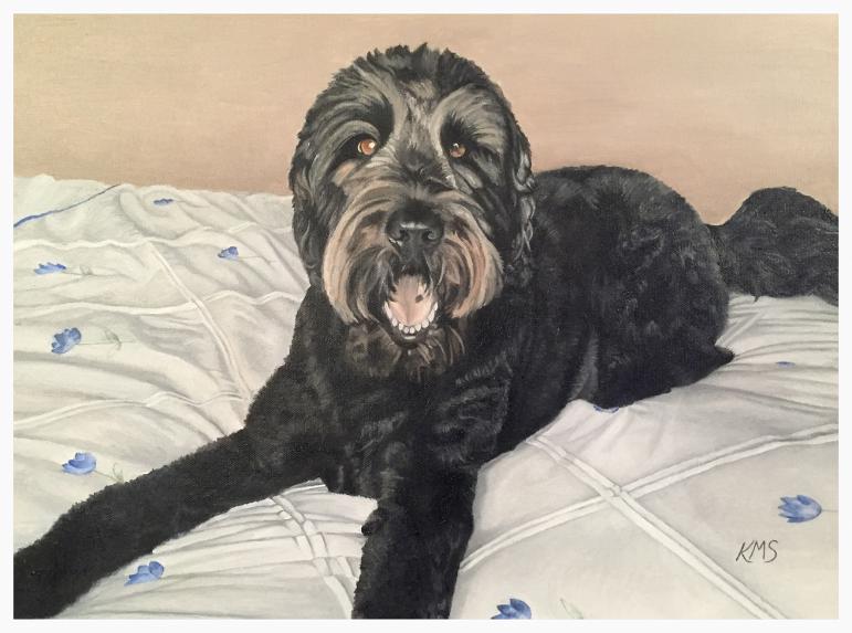 Labradoodle oil painting